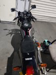 IMAG0232.jpg