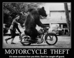 motorcycle-theft.png