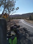 Bingara 002.jpg