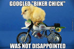 biker-chick_o_3039403.jpg
