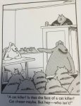 Far side 4.jpg