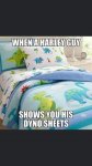 DYNO sheets.jpeg