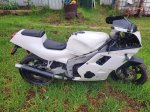 fzr.jpg