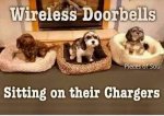 wireless.jpg