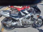 Curlewis ride 011.jpg