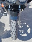 Curlewis ride 017.jpg