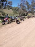 Curlewis ride 058.jpg