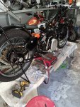 Curlewis ride 062.jpg
